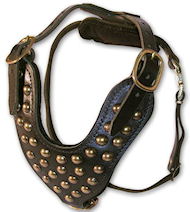 Studded Walking dog harness for Newfoundland -H15 Studded Walking dog harness for Newfoundland -H15