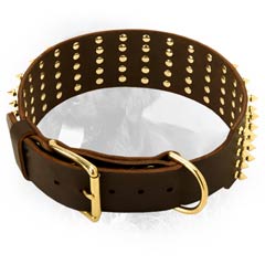 Leather Collar for Stylish Dogs