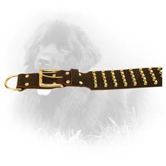 Fashionable Spiked Leather Collar