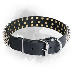Newfoundland Leather Collar Spiked