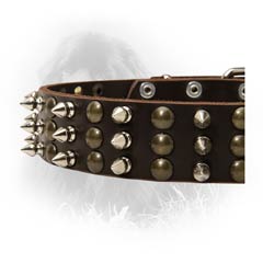 Newfoundland Leather Collar Handcrafted Decoration 3  Studs and Spikes Rows
