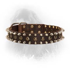 Stylish and Safe Newfoundland Leather Collar Spiked and  Studded