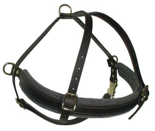Newfoundland dog harness- leather dog harness large saize for big dogs