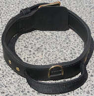 Newfoundland Dog Collar,nylon dog collar,leather dog collar,training dog collar with handle for dog training click here Newfoundland Dogs Collars,nylon dog collars,leather dog collars,training dogs collars with handle for dog training click here