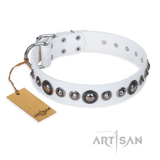 studded leather dog collars