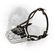 Wire Cage Newfoundland Muzzle - Training and Walking Wire Cage Newfoundland Muzzle - Training and Walking
