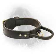 Extra Durable Leather Newfoundland Collar with Comfortable Handle Extra Durable Leather Newfoundland Collar with Comfortable Handle