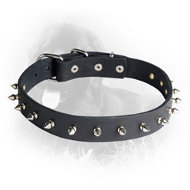 Newfoundland Leather Collar Spiked 30 mm Newfoundland Leather Collar Spiked 30 mm
