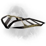 Nylon Newfoundland Harness for Weight Pulling Nylon Newfoundland Harness for Weight Pulling