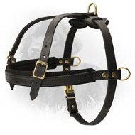 Leather Newfoundland Harness for Tracking and Pulling Leather Newfoundland Harness for Tracking and Pulling