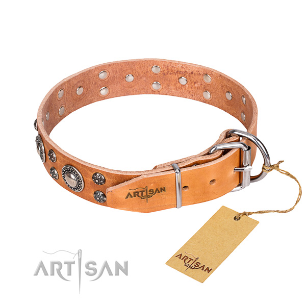Everyday use genuine leather collar with adornments for your four-legged friend