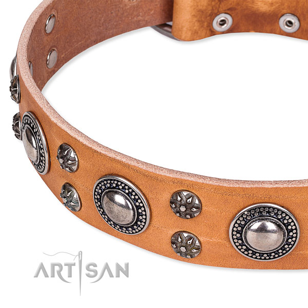 Everyday walking genuine leather collar with corrosion proof buckle and D-ring