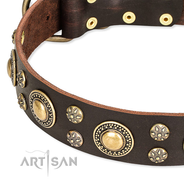 Leather dog collar with awesome adornments