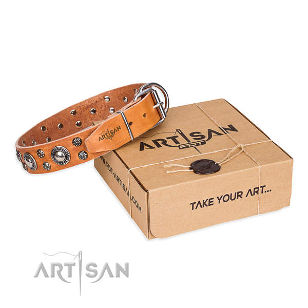 Stylish design full grain leather dog collar for daily use