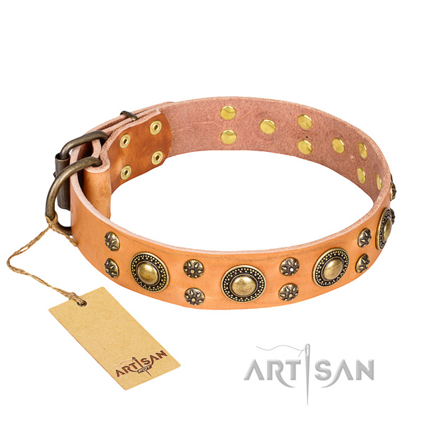 Unique full grain genuine leather dog collar for everyday use
