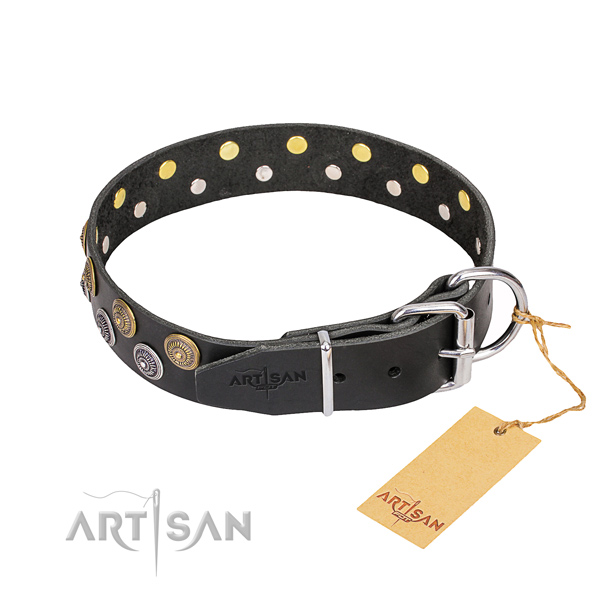 Walking full grain genuine leather collar with studs for your doggie