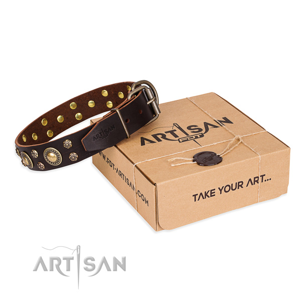 Incredible full grain genuine leather dog collar for everyday walking