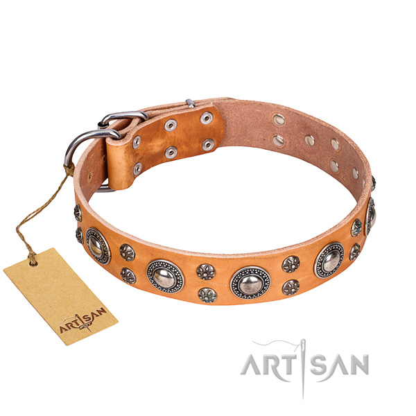 Impressive natural genuine leather dog collar for daily walking