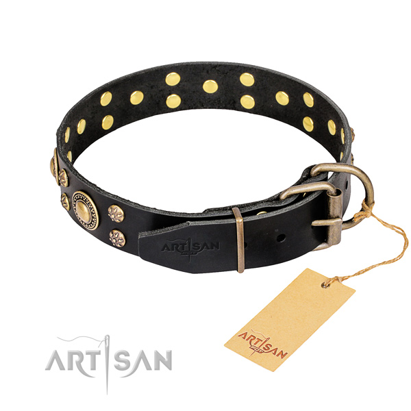 Stylish walking full grain genuine leather collar with embellishments for your doggie
