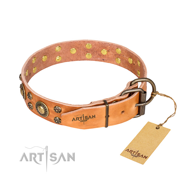 Walking full grain genuine leather collar with adornments for your dog
