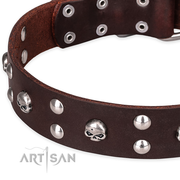 Everyday leather dog collar with cute decorations