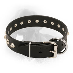 Leather Newfoundland Collar with Nickel Plated Hardware