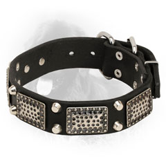 Leather Newfoundland Collar with Plates and Studs