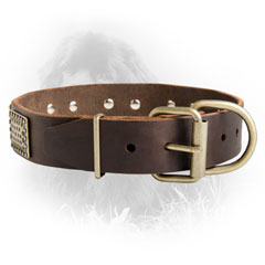 Newfoundland Dog Leather Collar Solid Brass Buckle