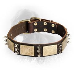 Original Leather Collar with Brass Plates and Nickel Spikes