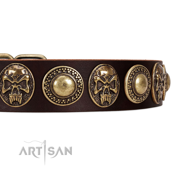 Natural genuine leather dog collar with studs for stylish walking