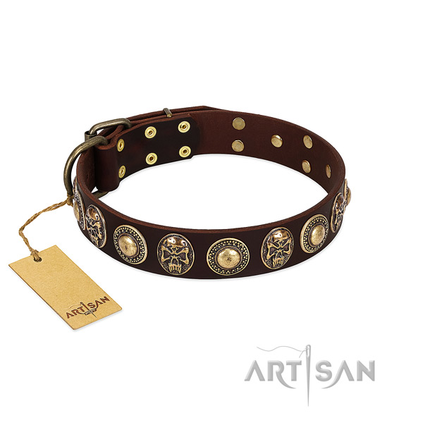 Stunning full grain genuine leather dog collar for stylish walking