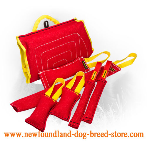 Newfoundland store dog items