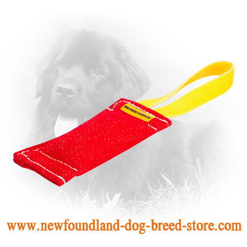Buy French Linen Dog Bite Tug, Two Handles