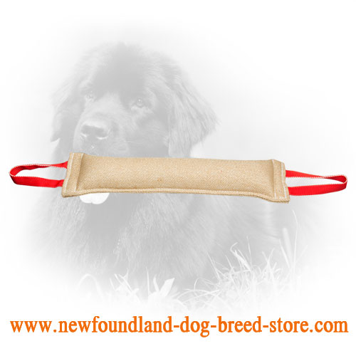 Jute Newfoundland Bite Tug for Training of Young and Adult