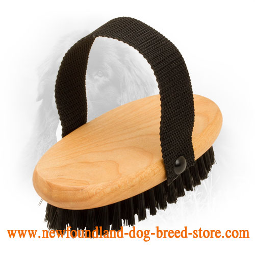 Grooming tools for newfoundland hot sale dog