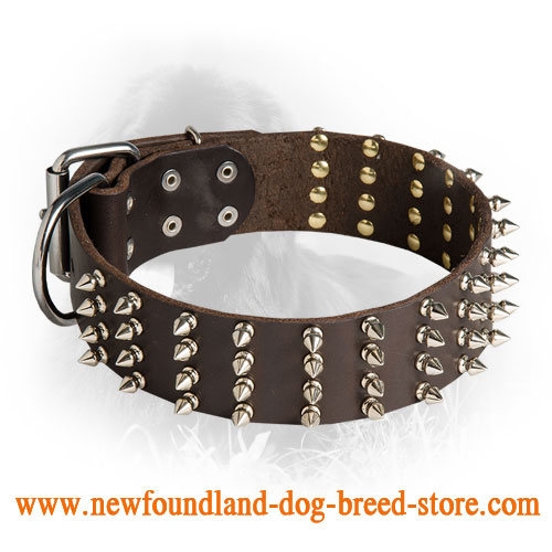 Newfoundland dog outlet collar