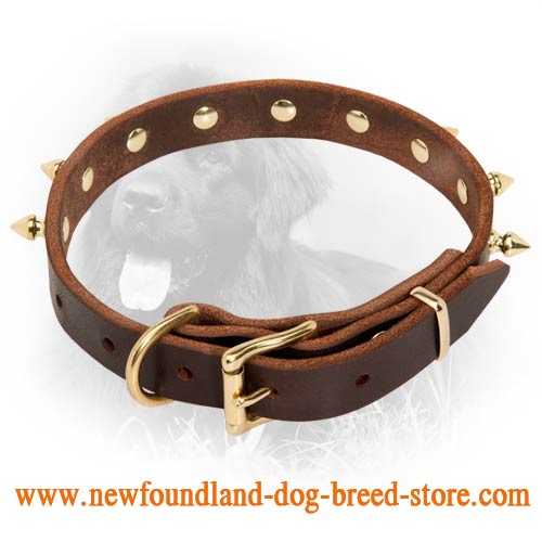 Best collar for top newfoundland dog