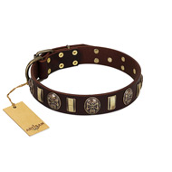 "Skull's Adventure" FDT Artisan Brown Leather Newfoundland Collar with Plates and Ovals "Skull's Adventure" FDT Artisan Brown Leather Newfoundland Collar with Plates and Ovals