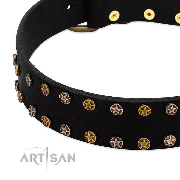 Trendy decorations on genuine leather collar for your pet