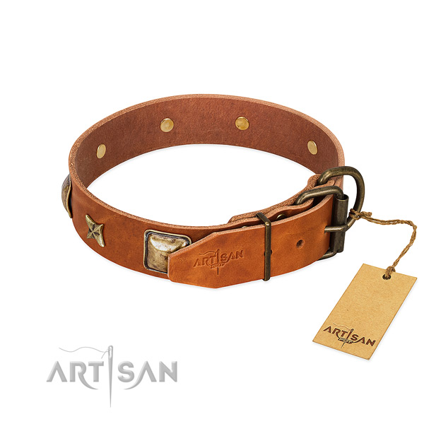 Natural genuine leather dog collar with strong fittings and embellishments