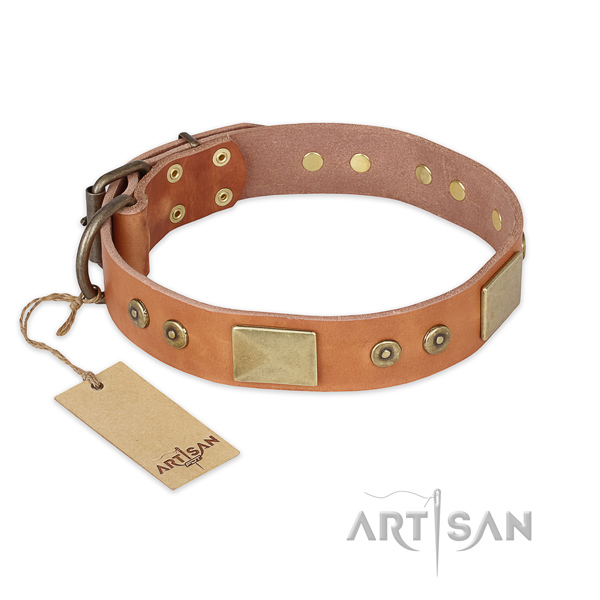 Handmade full grain leather dog collar for walking