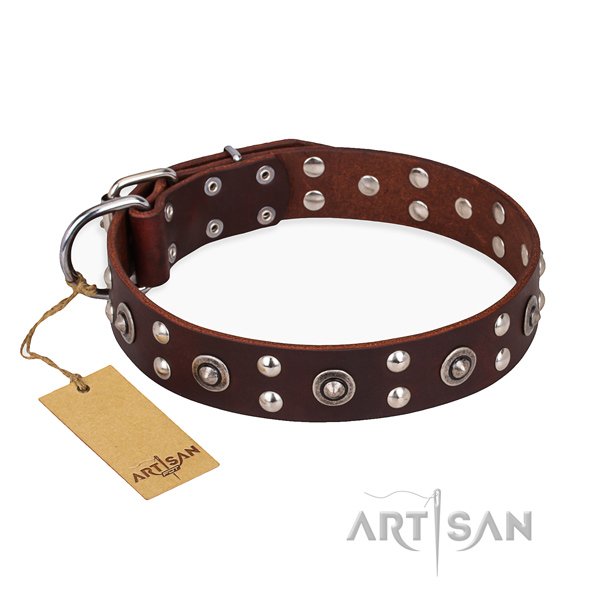 Easy wearing stylish dog collar with reliable hardware