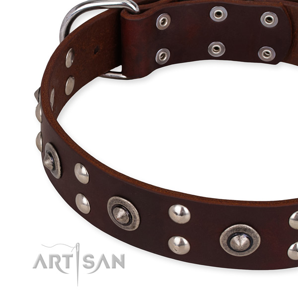 Full grain natural leather collar with durable traditional buckle for your stylish doggie
