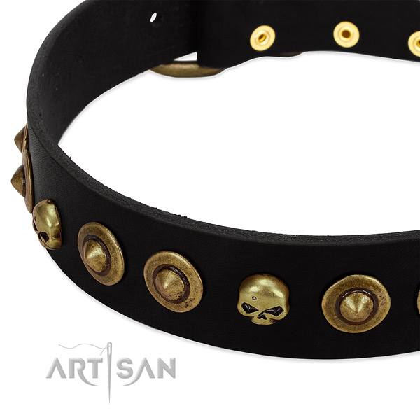 Unique adornments on leather collar for your pet