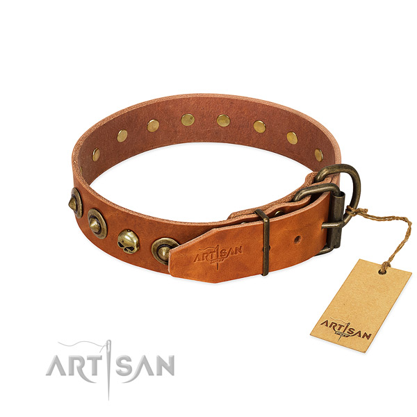 Leather collar with remarkable adornments for your dog