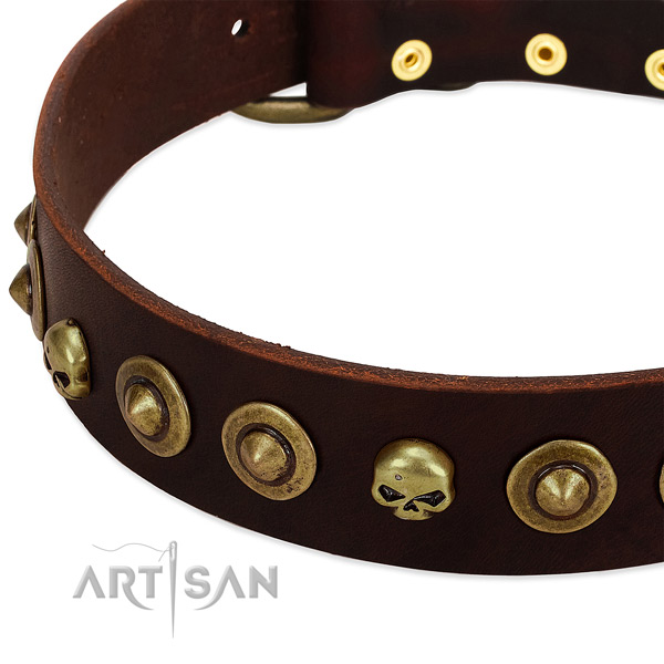 Fashionable embellishments on full grain leather collar for your four-legged friend