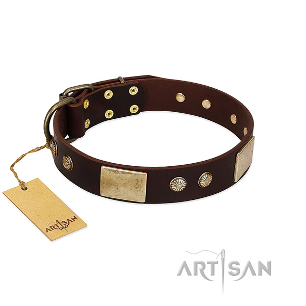 Easy wearing full grain genuine leather dog collar for everyday walking your doggie