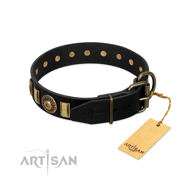 Quality leather dog collar with adornments