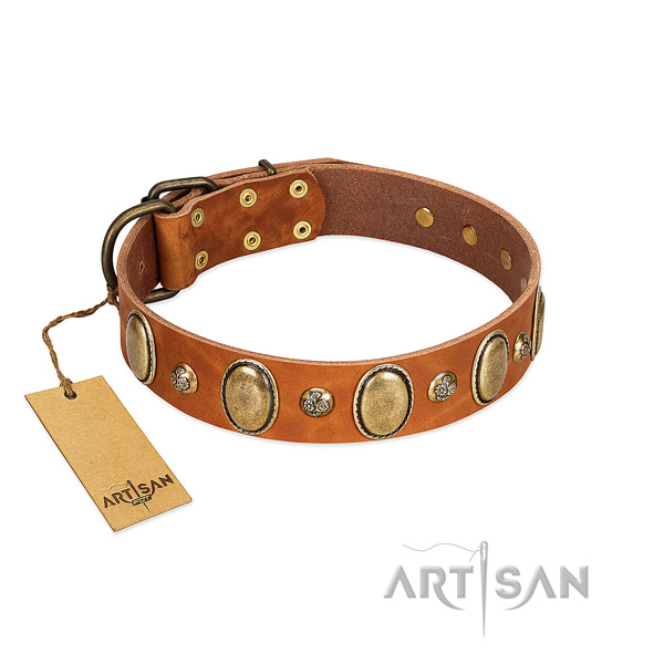 Natural leather dog collar of high quality material with exceptional decorations