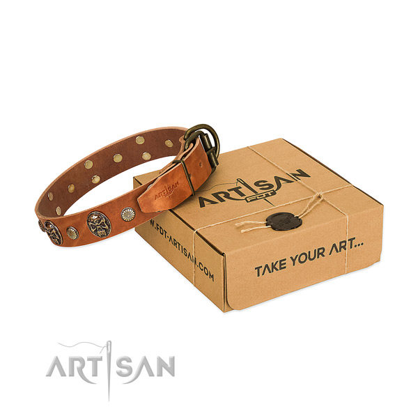 Durable fittings on full grain genuine leather dog collar for daily walking